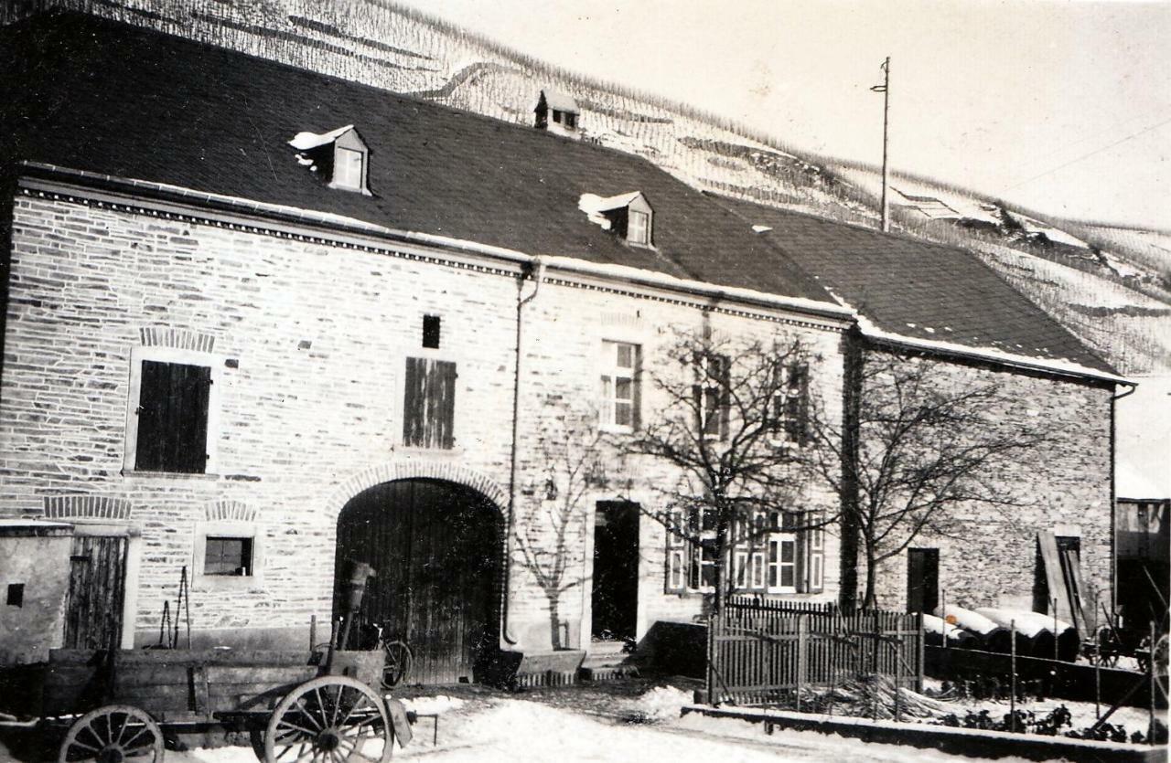Altes Loerscher Winzerhaus Mehring (Rhineland-Palatinate) Exterior foto